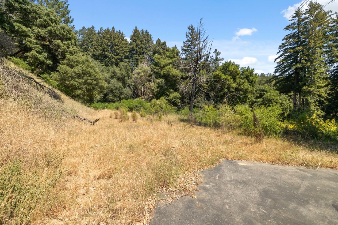 Detail Gallery Image 12 of 26 For 201 Hill House Rd, Boulder Creek,  CA 95006 - – Beds | – Baths