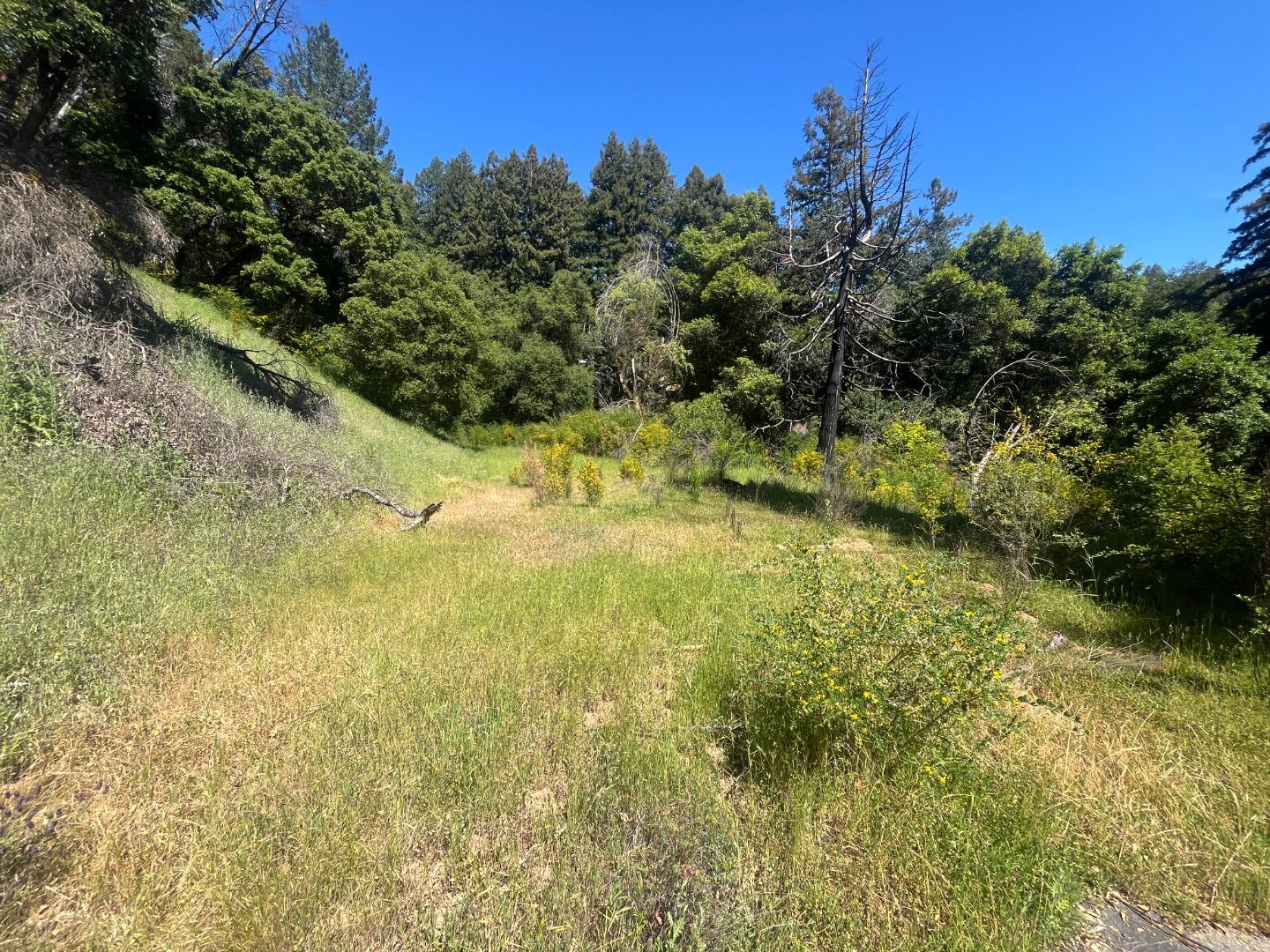 Detail Gallery Image 13 of 26 For 201 Hill House Rd, Boulder Creek,  CA 95006 - – Beds | – Baths