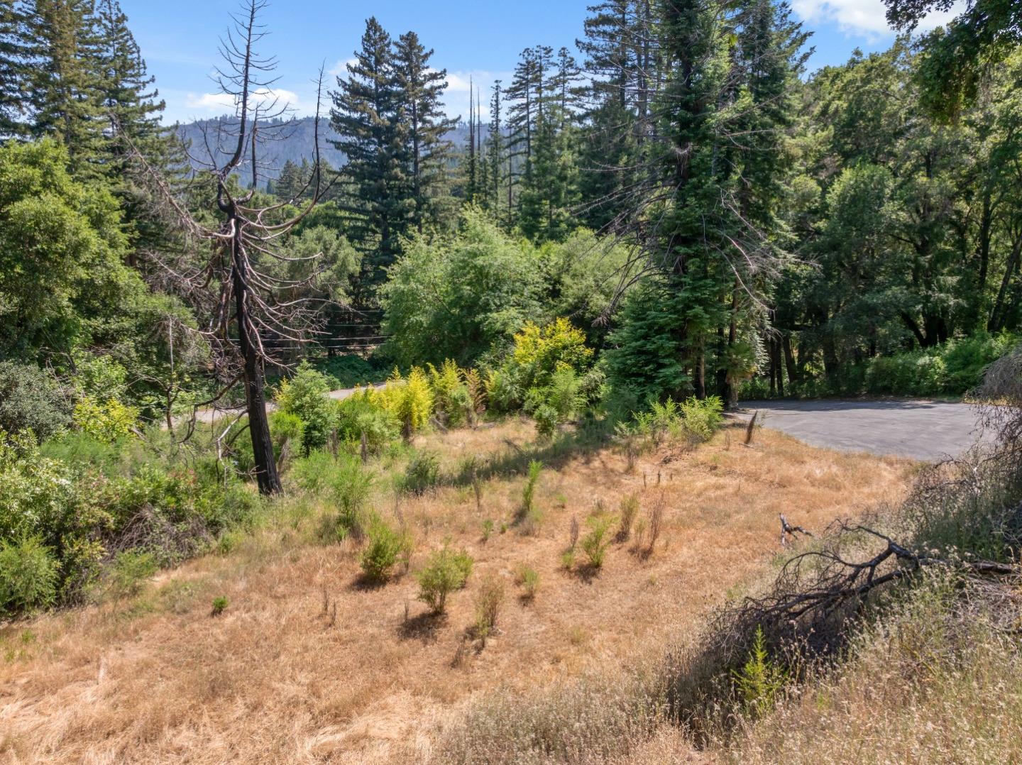 Detail Gallery Image 2 of 26 For 201 Hill House Rd, Boulder Creek,  CA 95006 - – Beds | – Baths