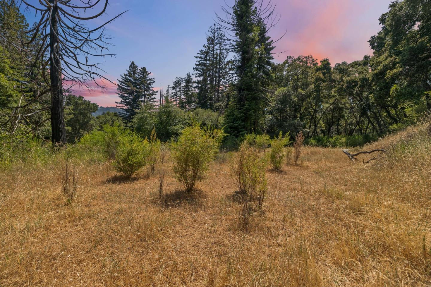 Detail Gallery Image 22 of 26 For 201 Hill House Rd, Boulder Creek,  CA 95006 - – Beds | – Baths