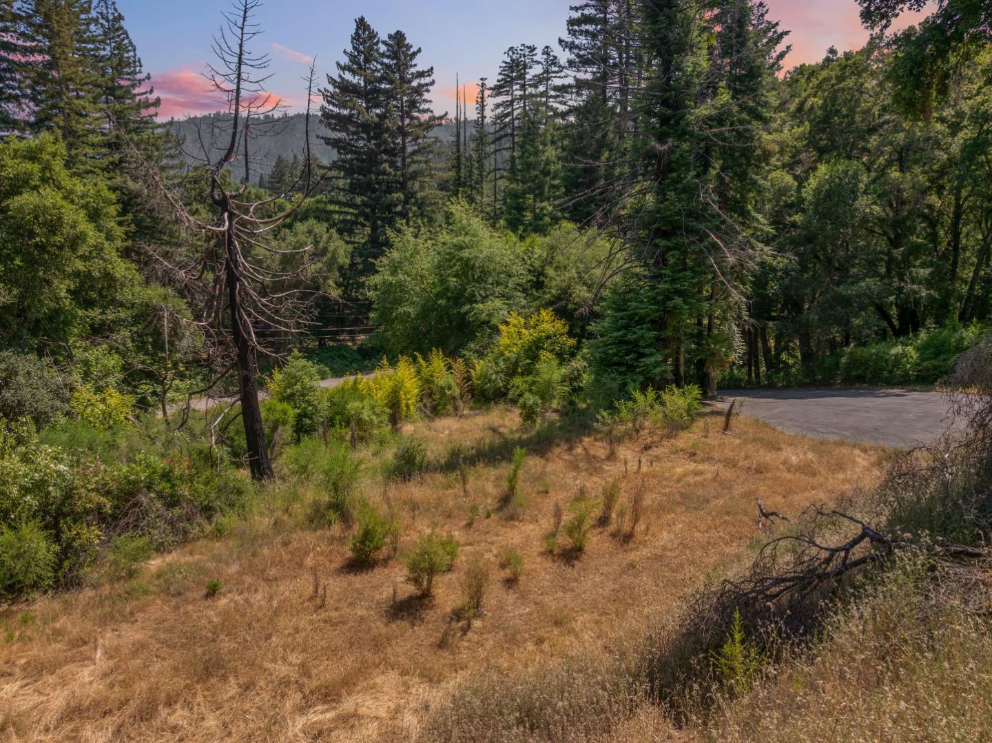 Detail Gallery Image 23 of 26 For 201 Hill House Rd, Boulder Creek,  CA 95006 - – Beds | – Baths