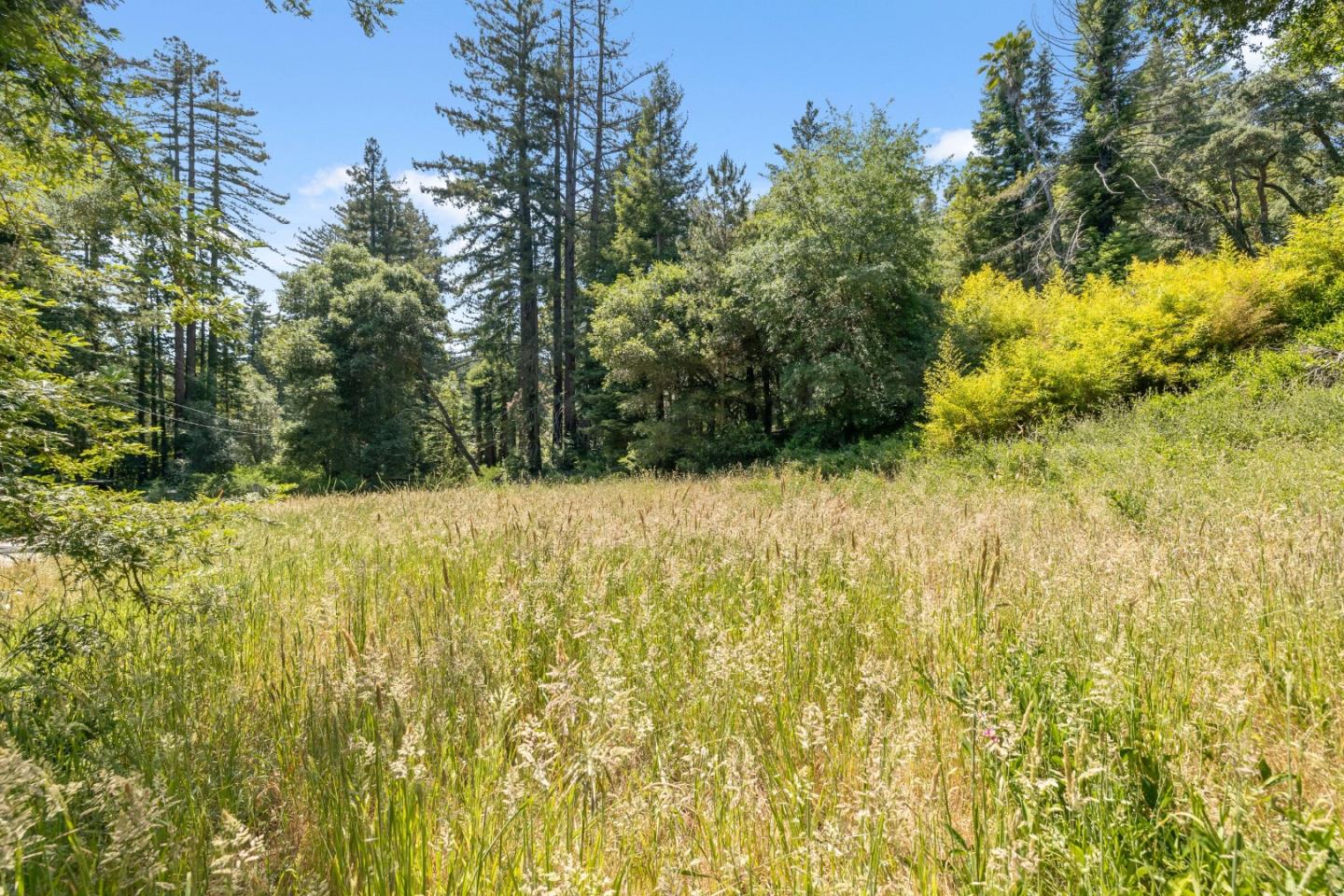 Detail Gallery Image 7 of 26 For 201 Hill House Rd, Boulder Creek,  CA 95006 - – Beds | – Baths