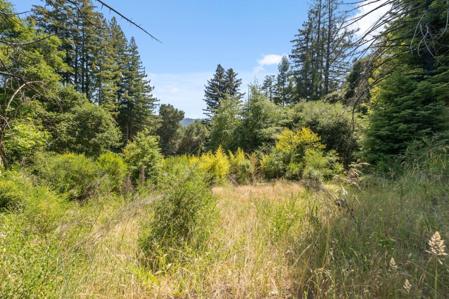 Detail Gallery Image 8 of 26 For 201 Hill House Rd, Boulder Creek,  CA 95006 - – Beds | – Baths