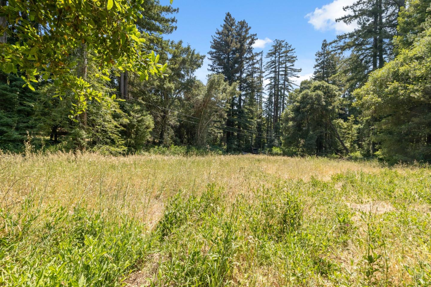 Detail Gallery Image 9 of 26 For 201 Hill House Rd, Boulder Creek,  CA 95006 - – Beds | – Baths