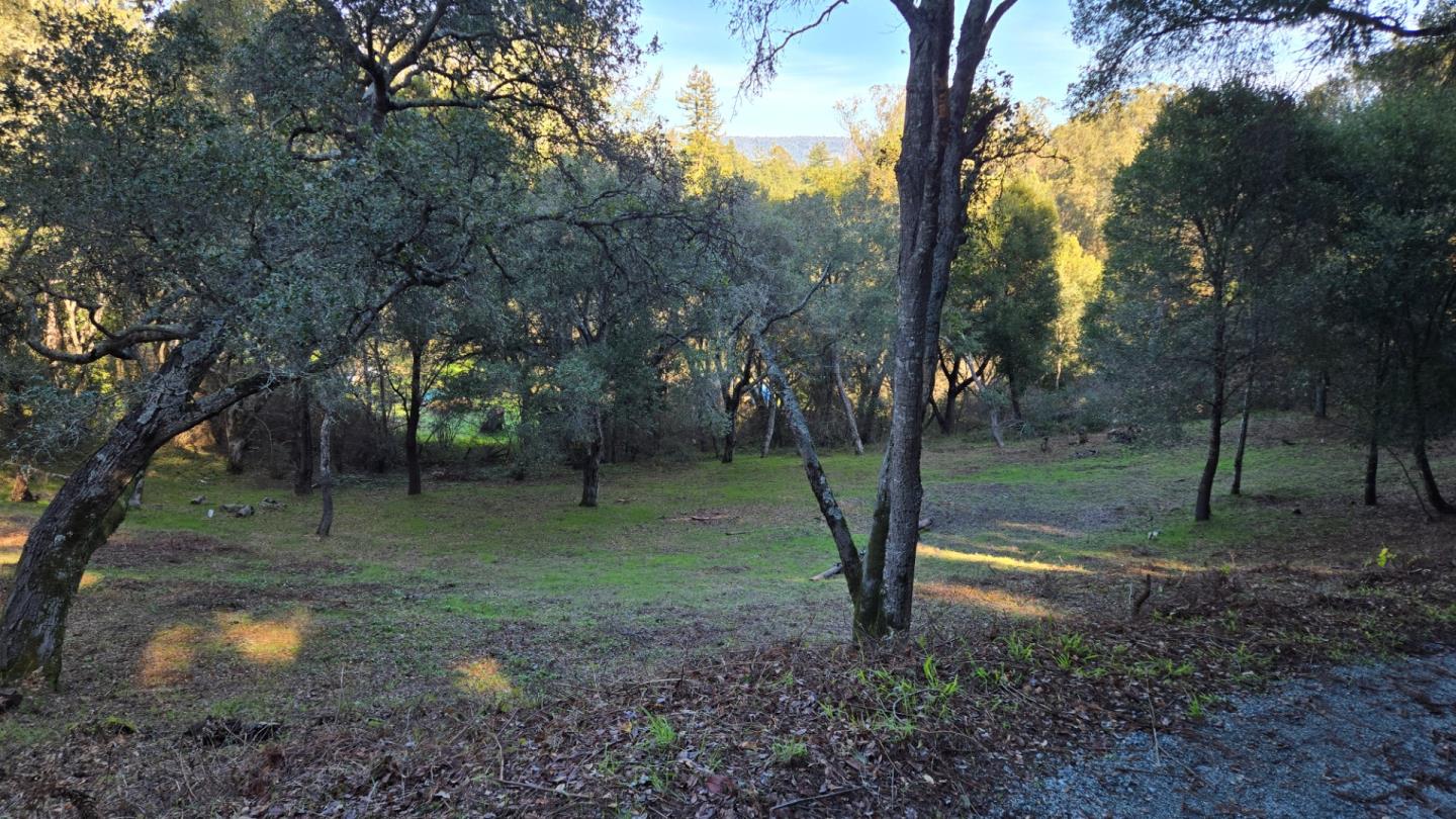 Detail Gallery Image 11 of 17 For 245 Gillette Rd, Watsonville,  CA 95076 - – Beds | – Baths