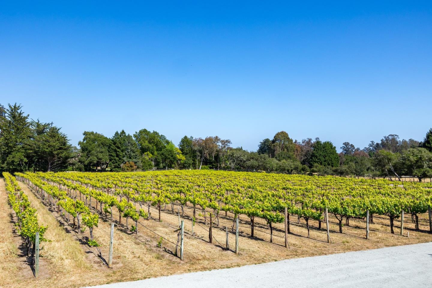 Detail Gallery Image 38 of 89 For 3357 Chardonnay Rd, Soquel,  CA 95073 - 4 Beds | 3 Baths
