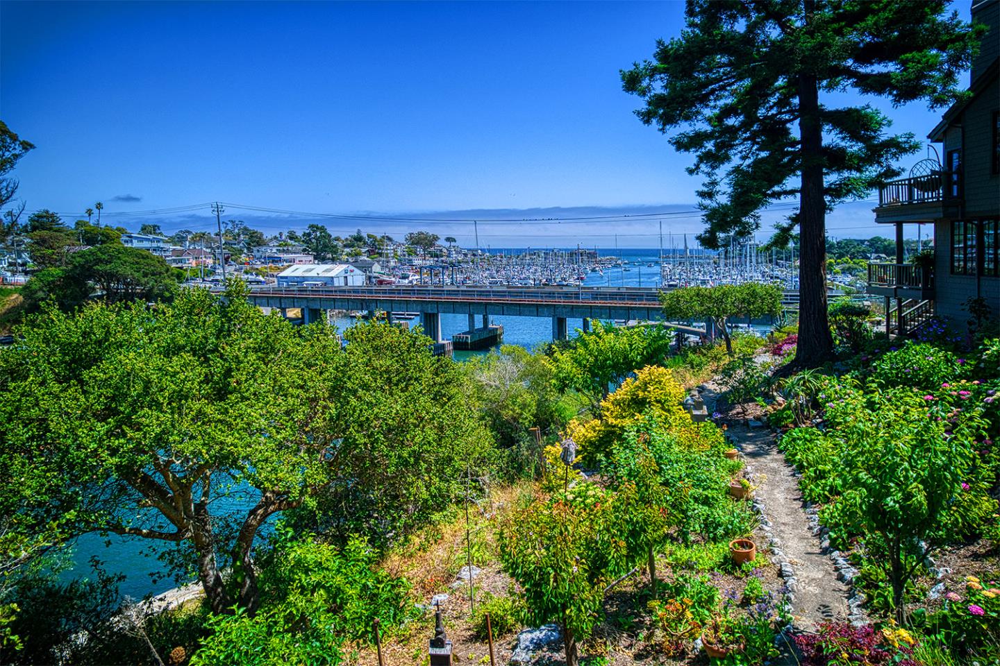 Detail Gallery Image 29 of 41 For 92 Frederick St a,  Santa Cruz,  CA 95062 - 2 Beds | 2/1 Baths