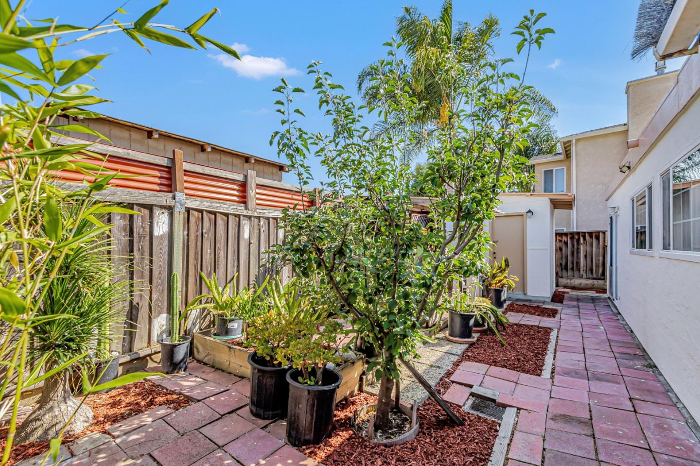 Detail Gallery Image 16 of 20 For 1182 Turtlerock Dr, San Jose,  CA 95122 - 3 Beds | 2 Baths
