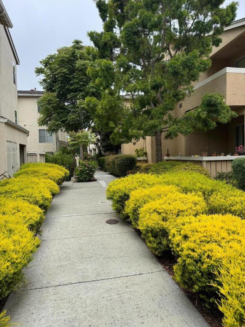 Detail Gallery Image 5 of 38 For 356 Everson Dr, Santa Cruz,  CA 95060 - 1 Beds | 1 Baths