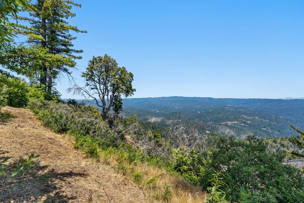 Detail Gallery Image 14 of 20 For 150 Braemoor Dr, Santa Cruz,  CA 95060 - – Beds | – Baths