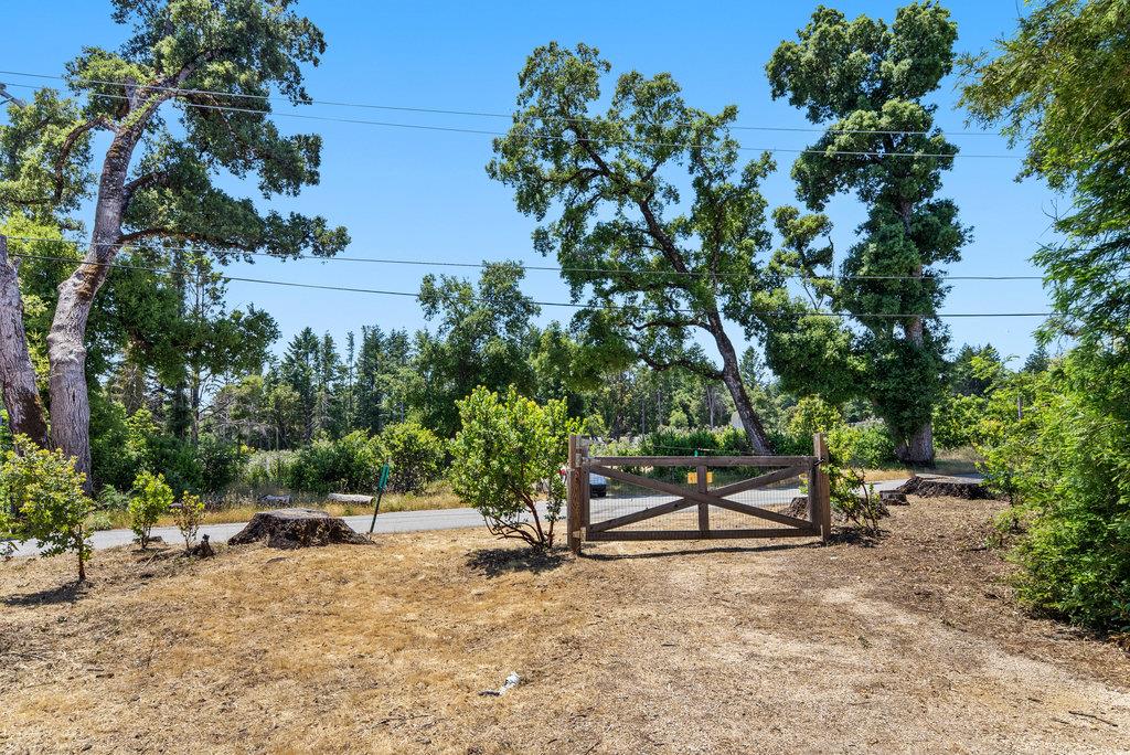 Detail Gallery Image 18 of 20 For 150 Braemoor Dr, Santa Cruz,  CA 95060 - – Beds | – Baths
