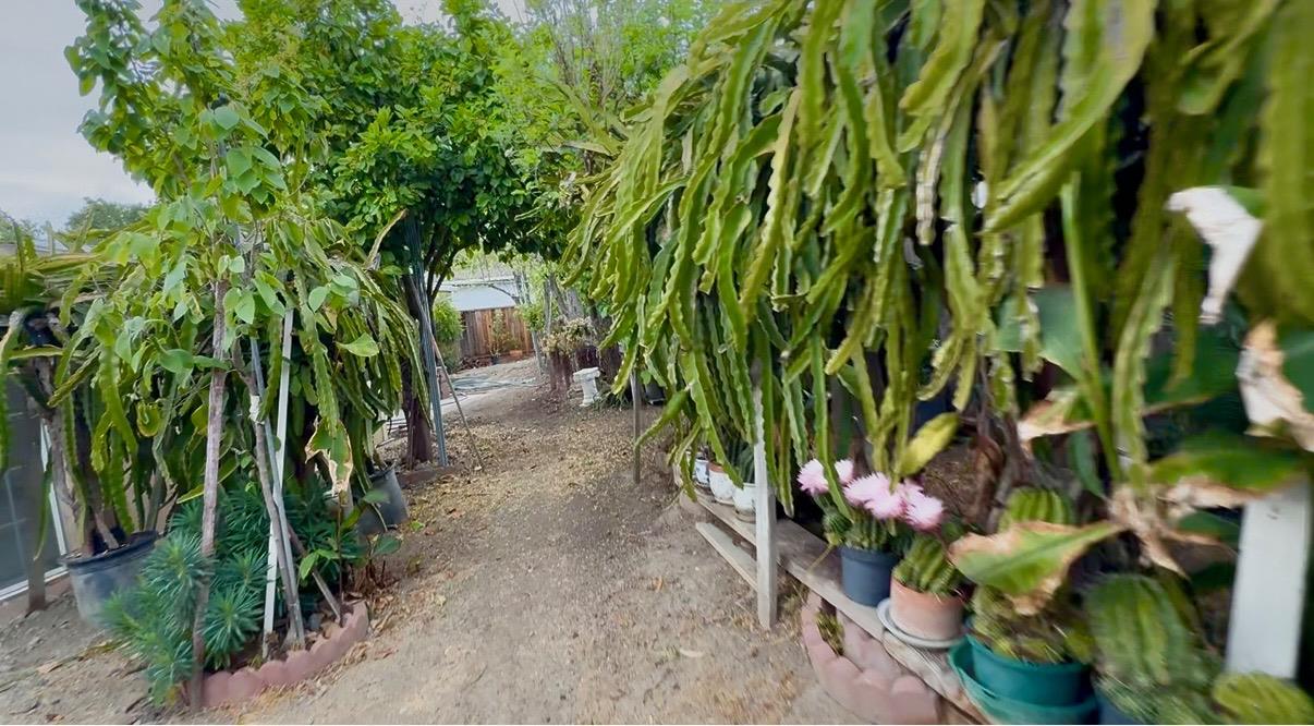 Detail Gallery Image 30 of 36 For 64 via De Guadalupe, San Jose,  CA 95116 - 4 Beds | 2 Baths
