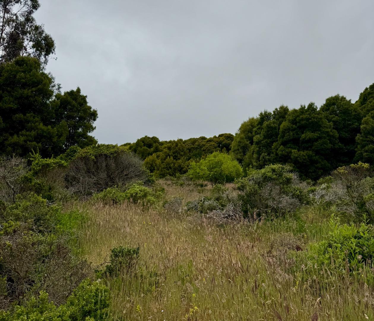Detail Gallery Image 12 of 22 For 00 Bonita, Half Moon Bay,  CA 94019 - – Beds | – Baths