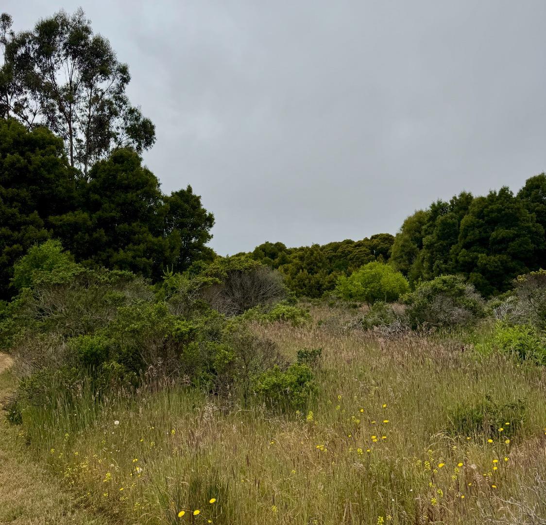Detail Gallery Image 13 of 22 For 00 Bonita, Half Moon Bay,  CA 94019 - – Beds | – Baths