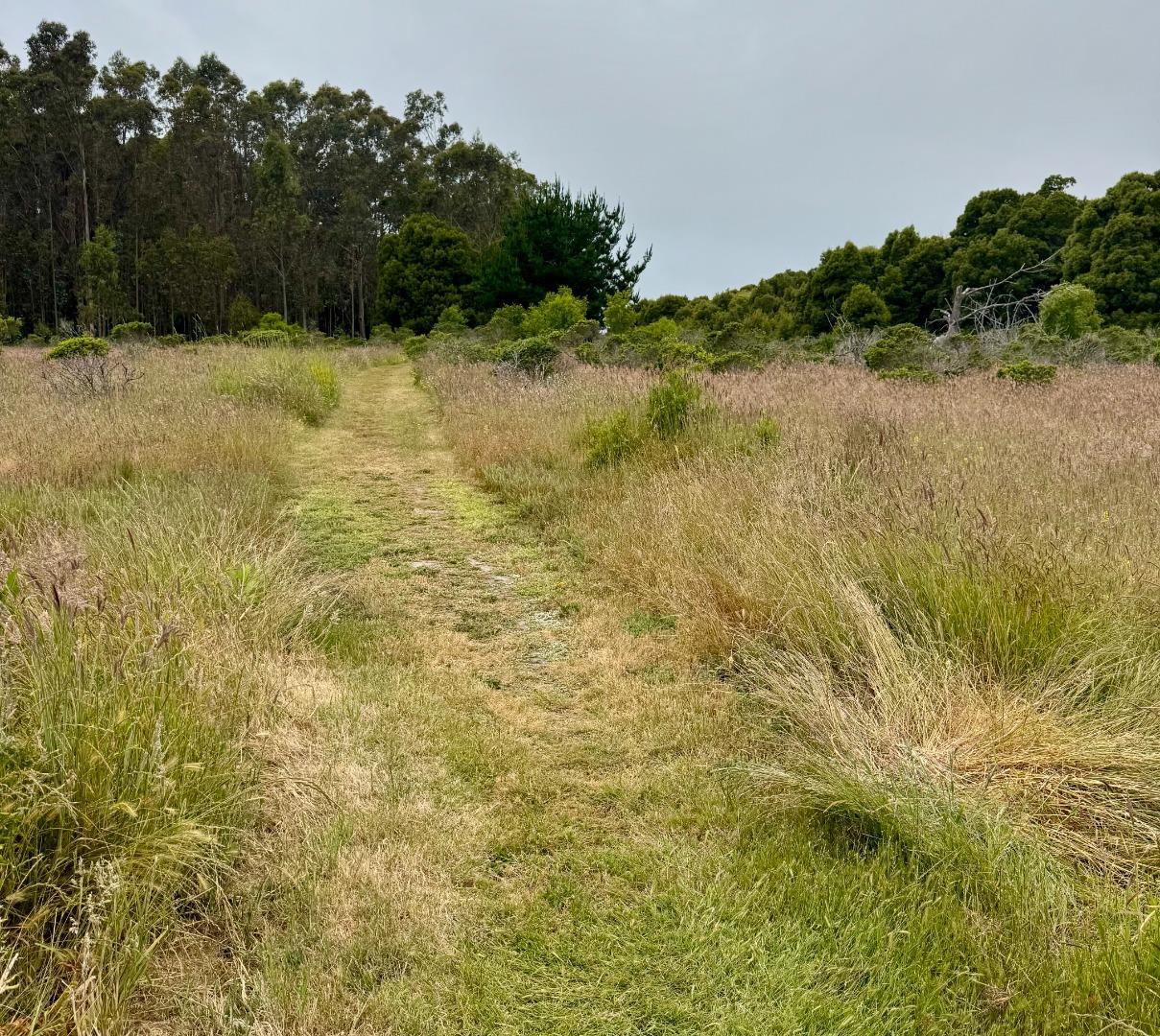 Detail Gallery Image 16 of 22 For 00 Bonita, Half Moon Bay,  CA 94019 - – Beds | – Baths