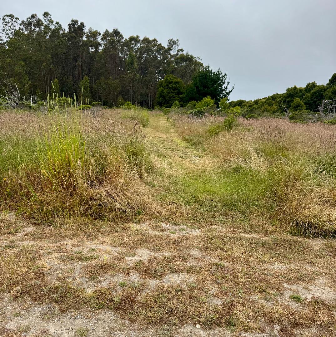 Detail Gallery Image 18 of 22 For 00 Bonita, Half Moon Bay,  CA 94019 - – Beds | – Baths