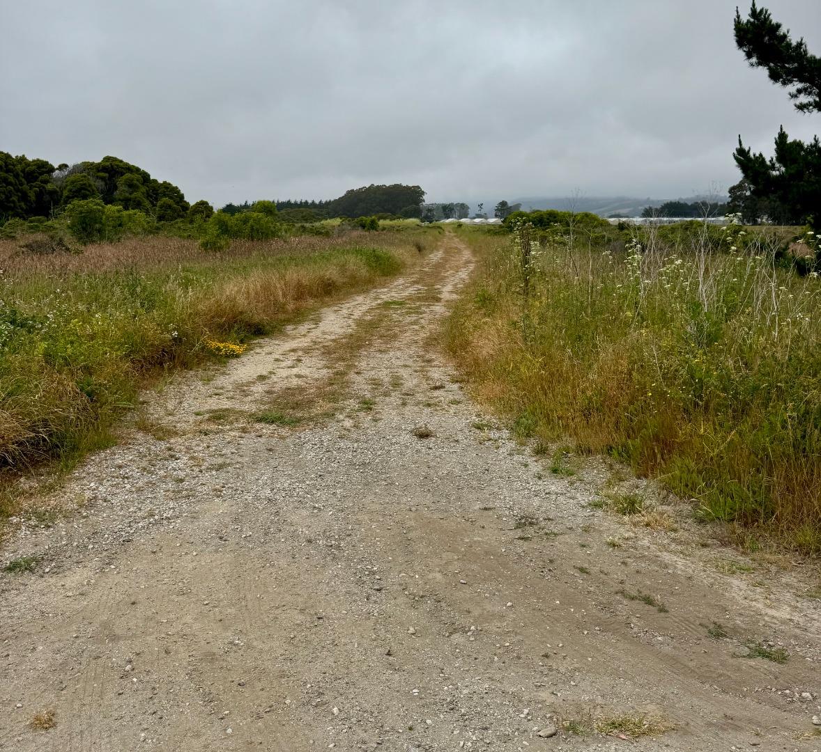 Detail Gallery Image 19 of 22 For 00 Bonita, Half Moon Bay,  CA 94019 - – Beds | – Baths