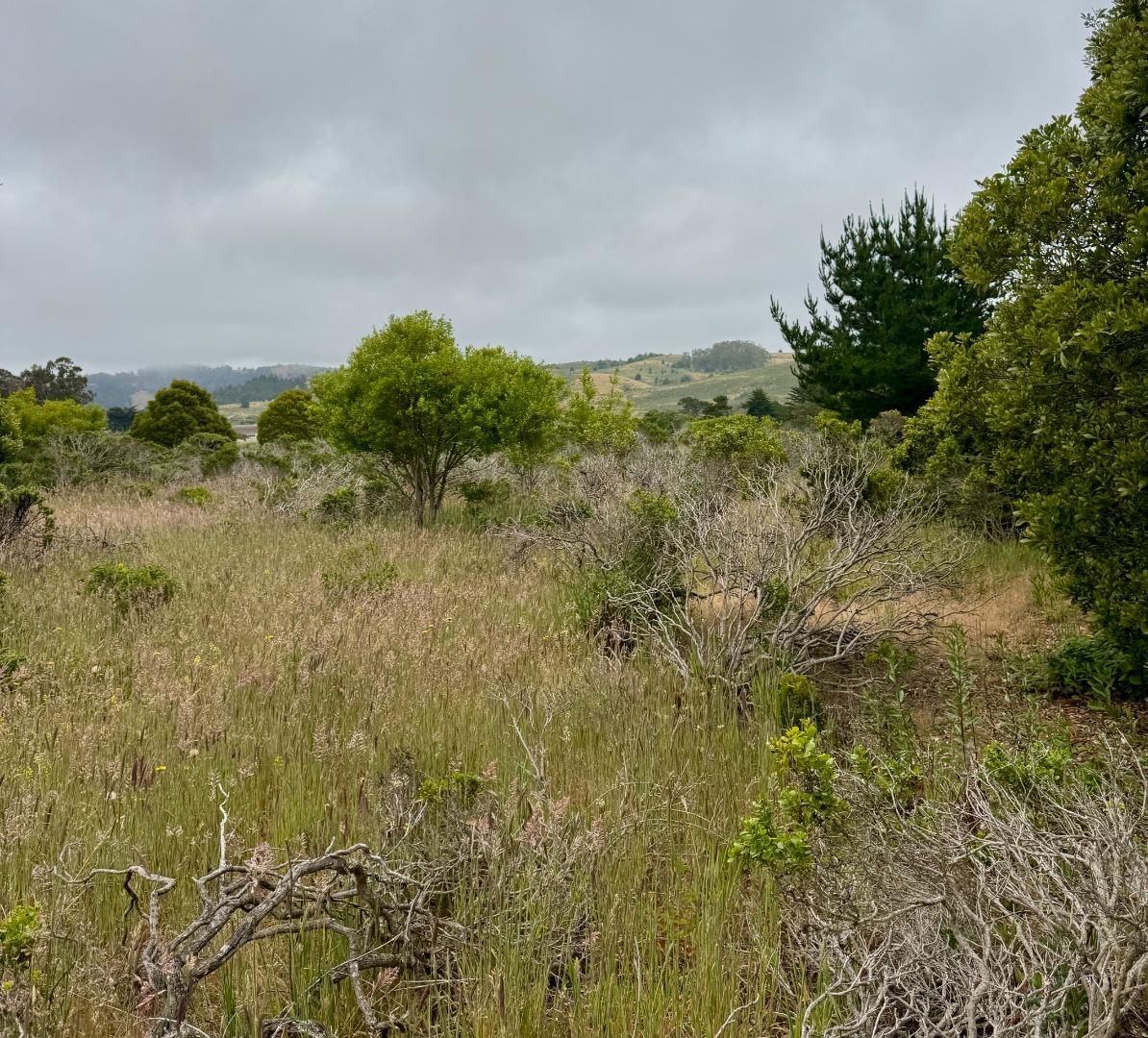 Detail Gallery Image 9 of 22 For 00 Bonita, Half Moon Bay,  CA 94019 - – Beds | – Baths