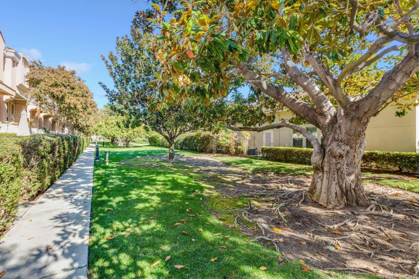 Detail Gallery Image 51 of 63 For 135 Frederick Ct, Mountain View,  CA 94043 - 3 Beds | 2/1 Baths