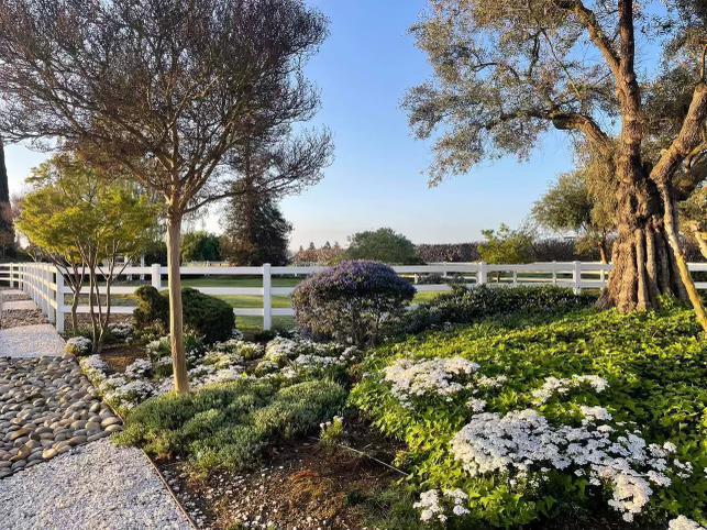 Detail Gallery Image 40 of 42 For 3465 Susie Ln, Gilroy,  CA 95020 - 4 Beds | 2/2 Baths