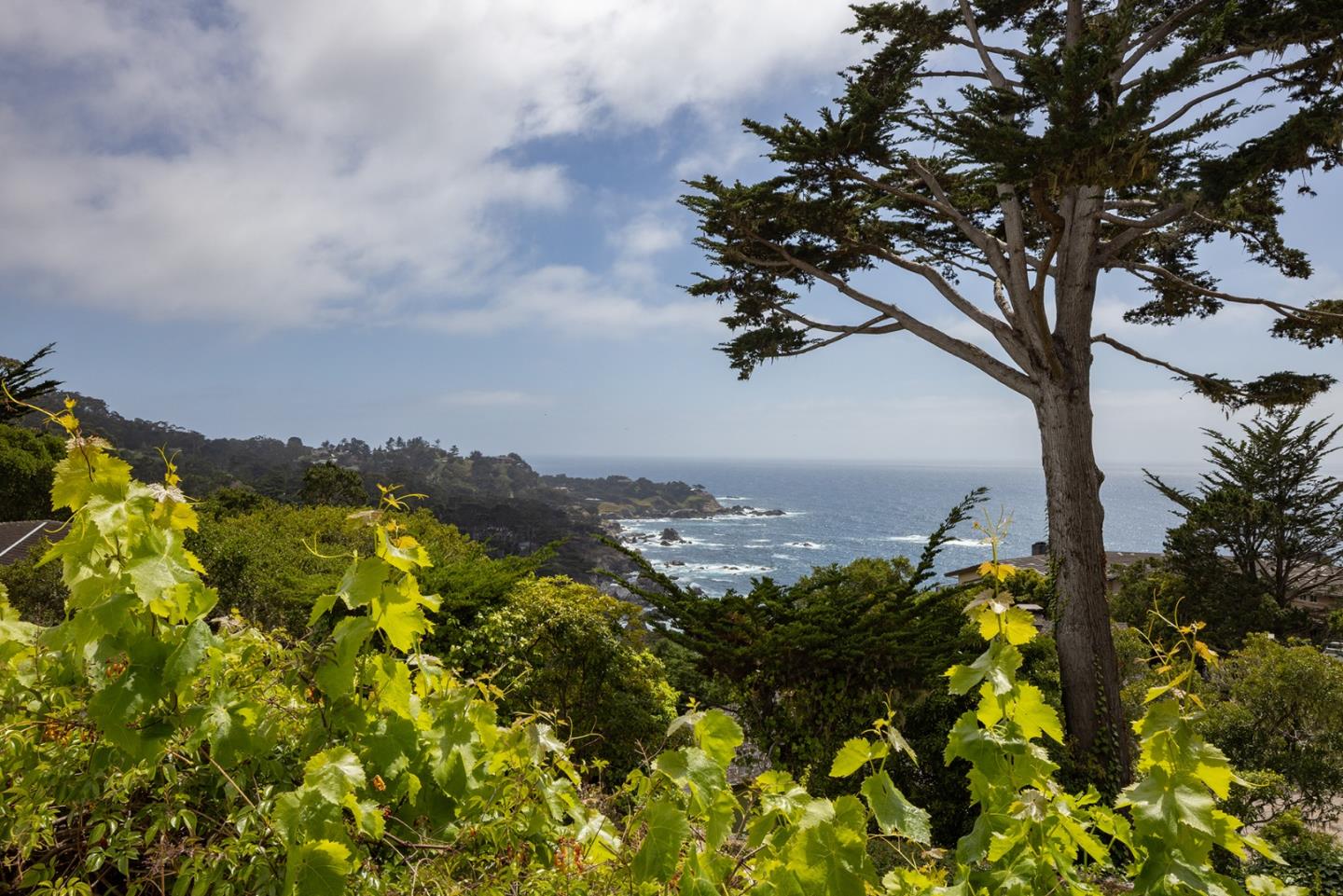 Detail Gallery Image 44 of 48 For 110 Pine Way, Carmel,  CA 93923 - 4 Beds | 4/1 Baths