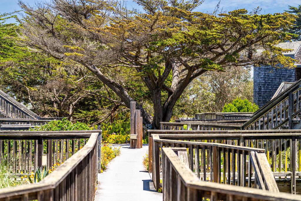 Detail Gallery Image 21 of 31 For 101 Shell Dr #3,  Watsonville,  CA 95076 - 2 Beds | 2 Baths