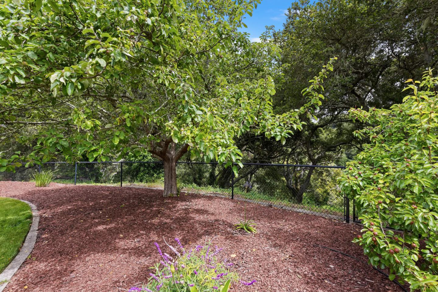 Detail Gallery Image 34 of 47 For 1540 Claremont Dr, San Bruno,  CA 94066 - 4 Beds | 3 Baths