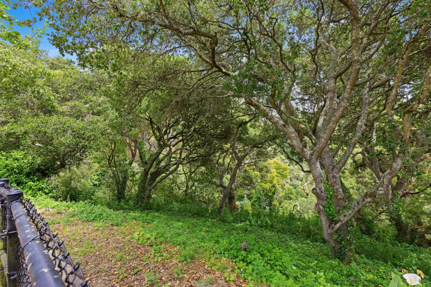 Detail Gallery Image 35 of 47 For 1540 Claremont Dr, San Bruno,  CA 94066 - 4 Beds | 3 Baths