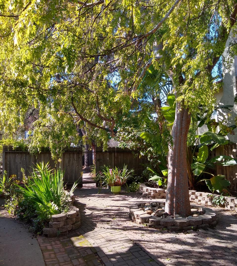 Detail Gallery Image 3 of 6 For 21851 Almaden Ave, Cupertino,  CA 95014 - 2 Beds | 1 Baths