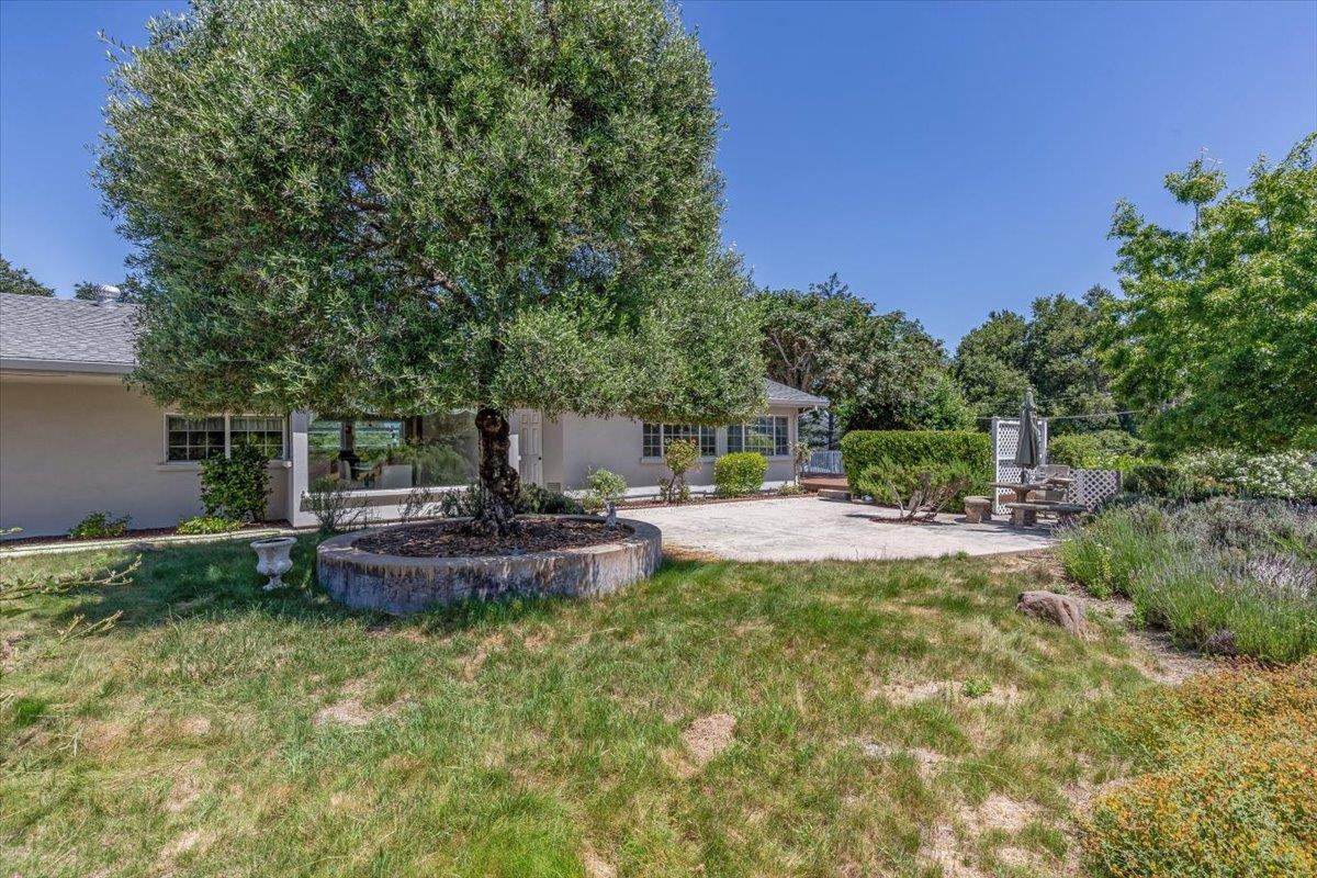 Detail Gallery Image 35 of 57 For 22187 Old Santa Cruz Hwy, Los Gatos,  CA 95033 - 4 Beds | 3 Baths