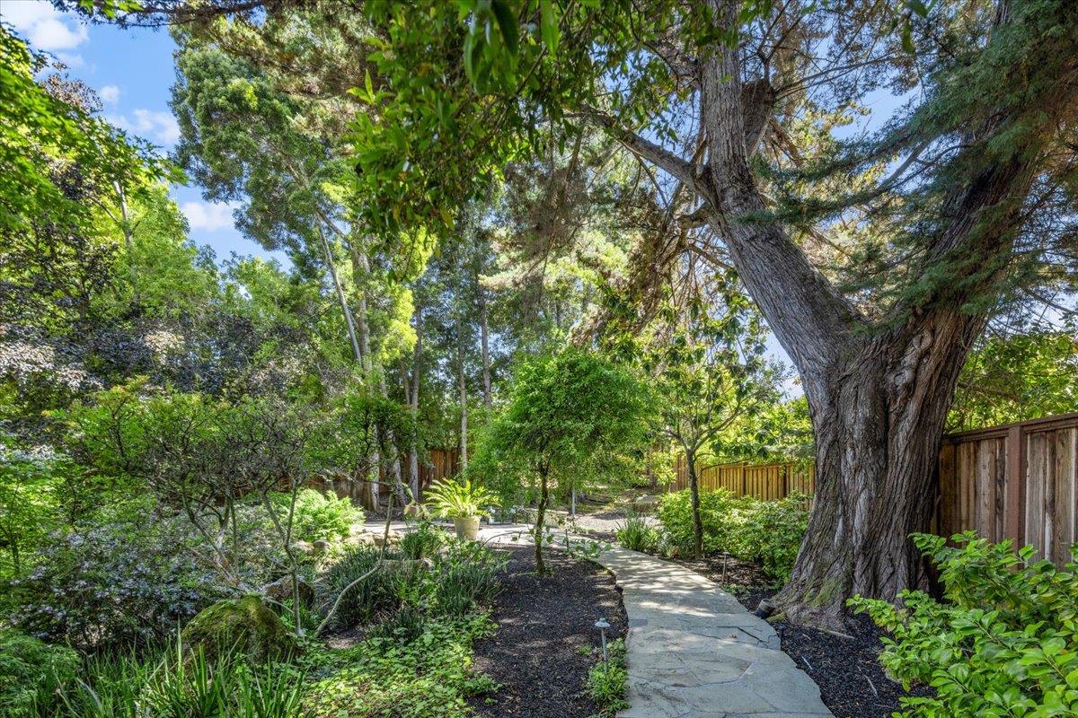 Detail Gallery Image 49 of 58 For 801 Eucalyptus Ave, Hillsborough,  CA 94010 - 5 Beds | 4/1 Baths