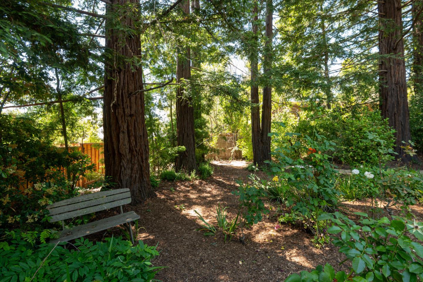 Detail Gallery Image 10 of 11 For 835 Mayfield Ave, Stanford,  CA 94305 - 4 Beds | 2 Baths