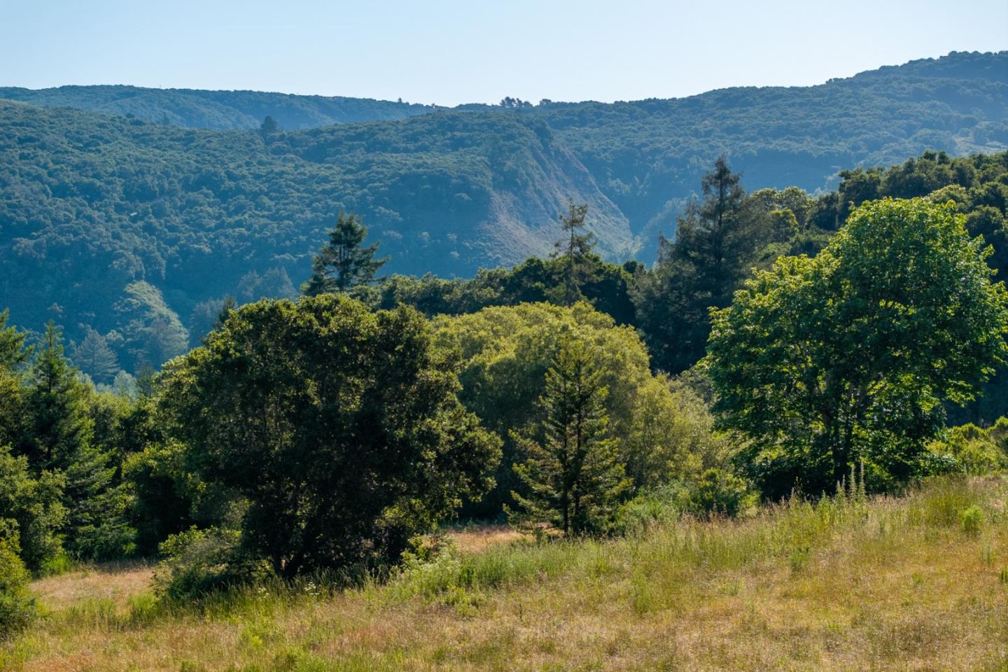 Detail Gallery Image 7 of 22 For 15 Potrero Trail (Lot 188), Carmel,  CA 93923 - – Beds | – Baths