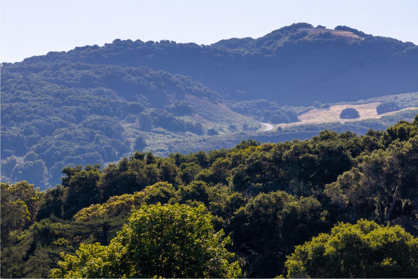 Detail Gallery Image 8 of 22 For 15 Potrero Trail (Lot 188), Carmel,  CA 93923 - – Beds | – Baths