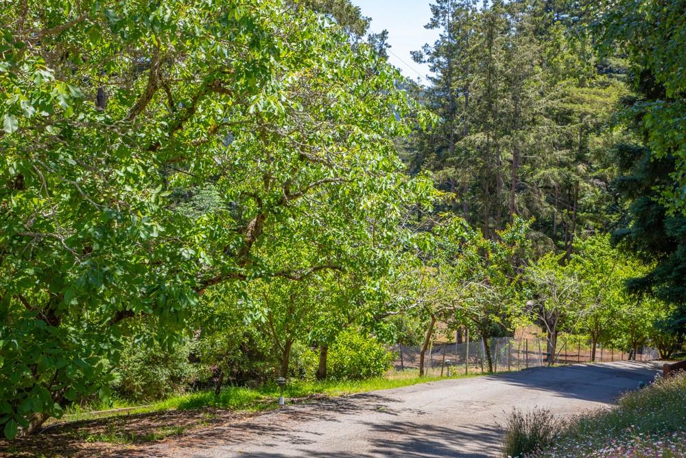 Detail Gallery Image 42 of 52 For 350 Aurora Rd, Soquel,  CA 95073 - 4 Beds | 4 Baths
