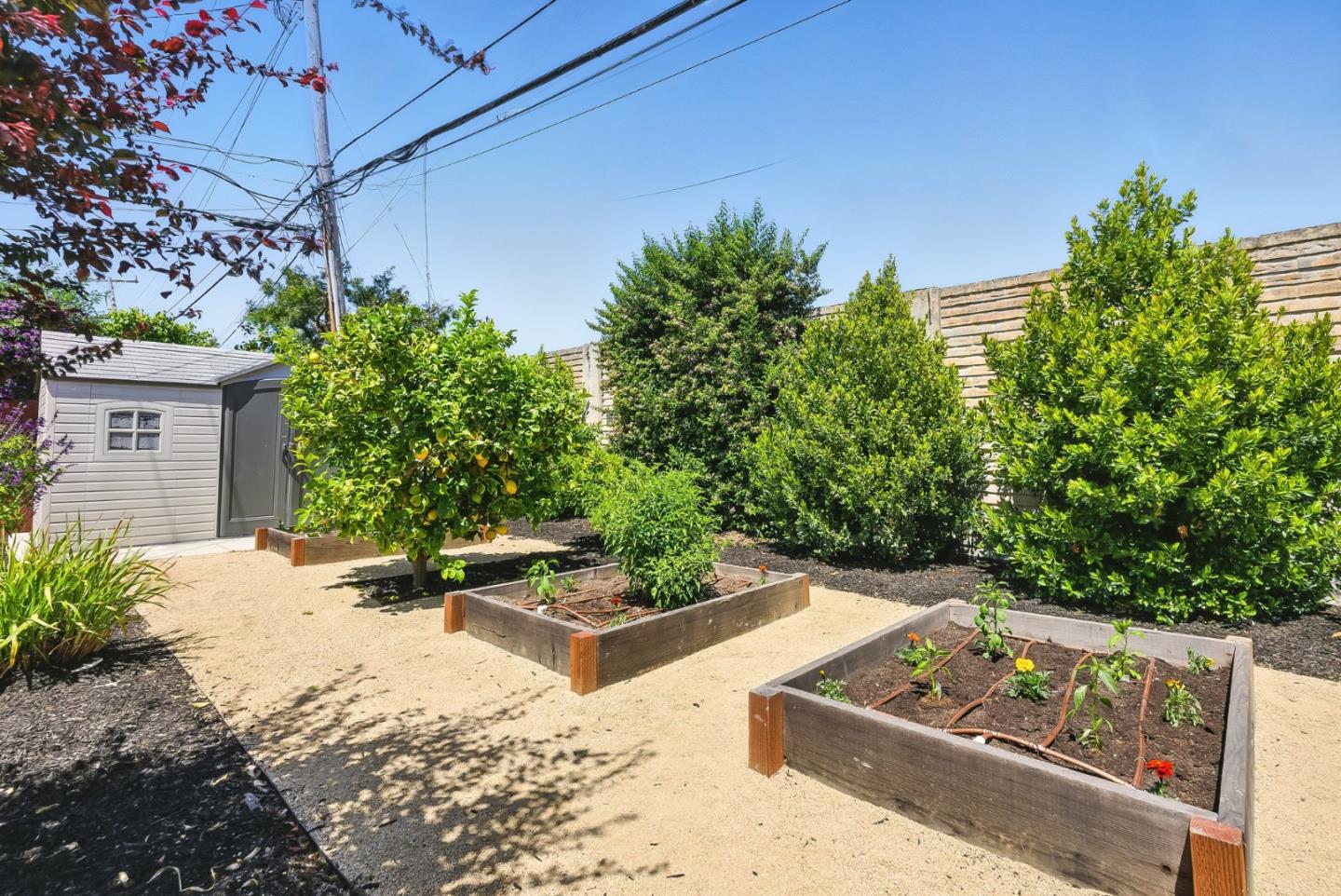 Detail Gallery Image 30 of 36 For 2077 Shoreview Ave, San Mateo,  CA 94401 - 3 Beds | 1 Baths