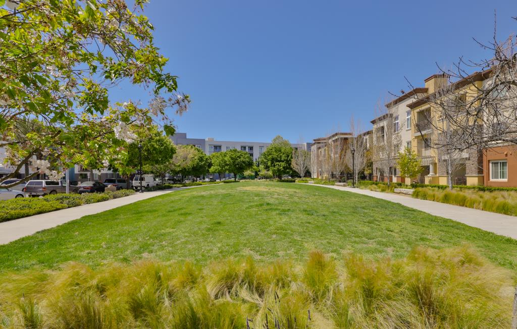 Detail Gallery Image 53 of 82 For 5956 Charlotte Dr, San Jose,  CA 95123 - 3 Beds | 3/1 Baths
