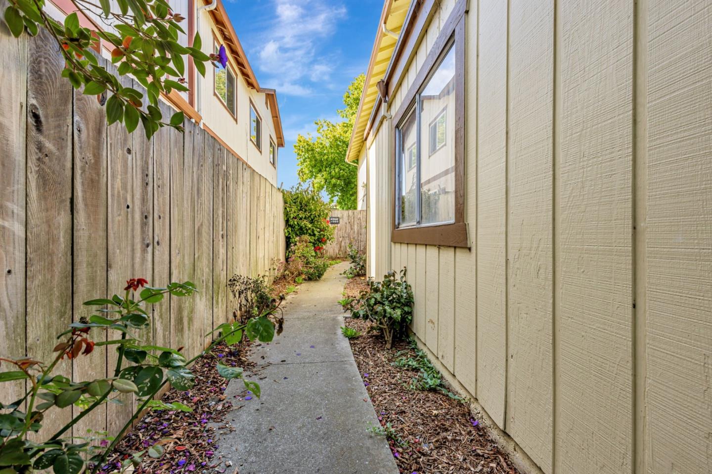Detail Gallery Image 43 of 43 For 476 - 478 Oak Ave, Half Moon Bay,  CA 94019 - – Beds | – Baths