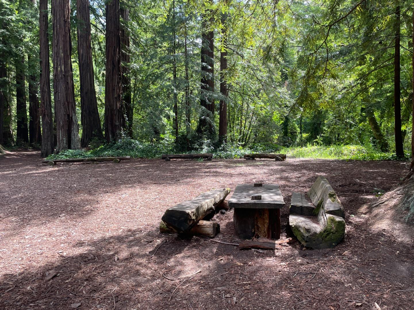 Detail Gallery Image 61 of 77 For 35 Sequoia Dr, La Honda,  CA 94020 - 2 Beds | 1/1 Baths