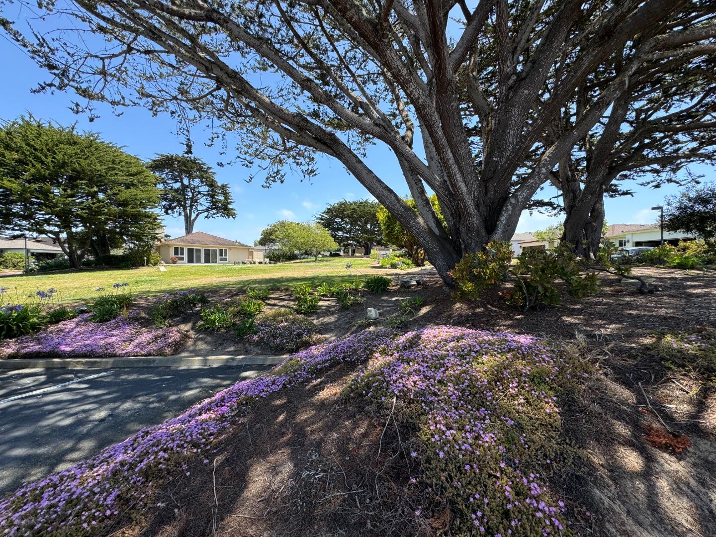 Detail Gallery Image 17 of 18 For 162 Linde Cir, Marina,  CA 93933 - 3 Beds | 2 Baths