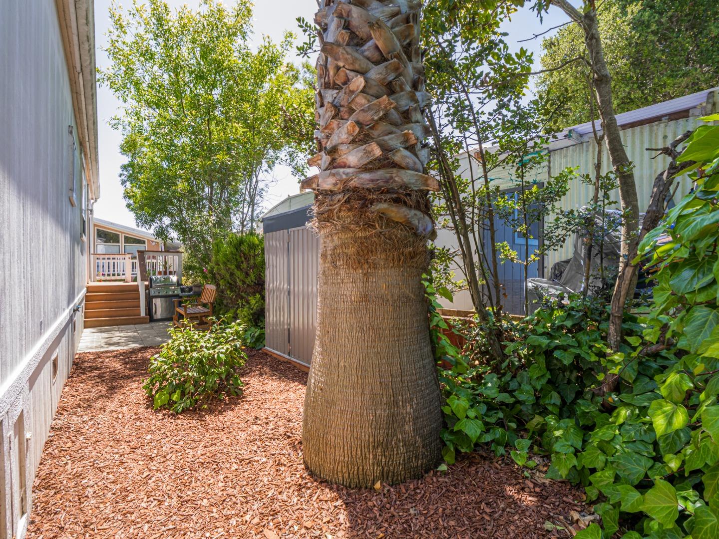 Detail Gallery Image 12 of 59 For 49 Blanca Ln #817,  Watsonville,  CA 95076 - 3 Beds | 2 Baths