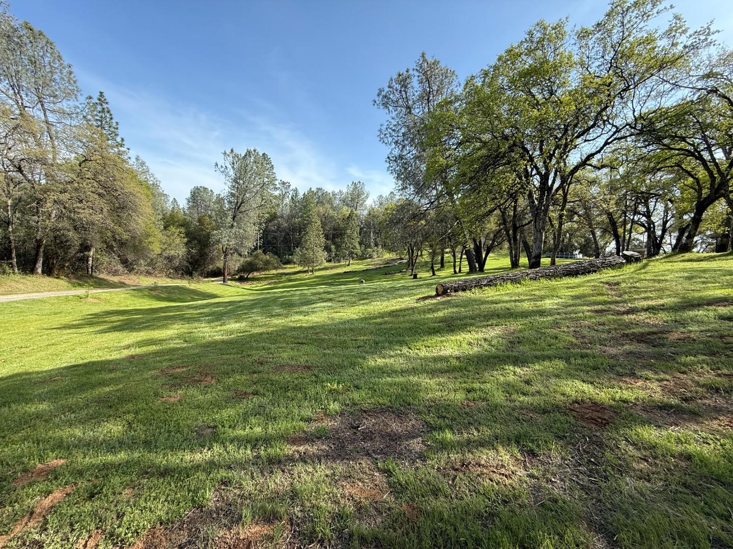 Detail Gallery Image 3 of 37 For 9951 State Highway 193, Placerville,  CA 95667 - 4 Beds | 2 Baths