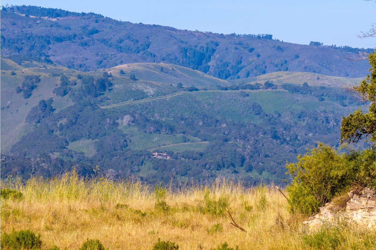 Detail Gallery Image 11 of 23 For 42 Tehama (Lot 23), Carmel,  CA 93923 - – Beds | – Baths