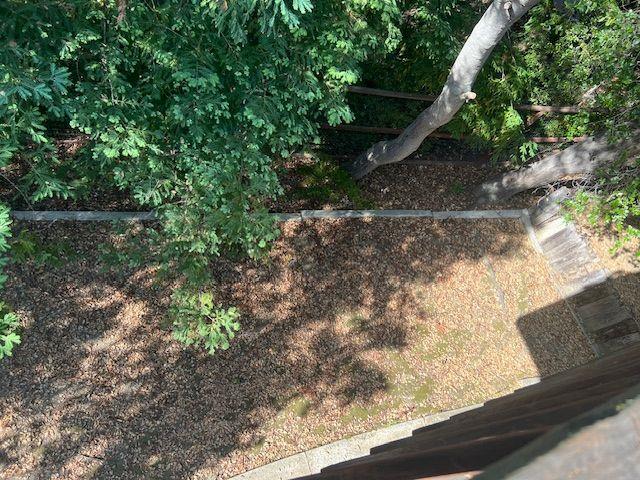 Detail Gallery Image 22 of 24 For 7145 Wooded Lake Dr, San Jose,  CA 95120 - 5 Beds | 4 Baths