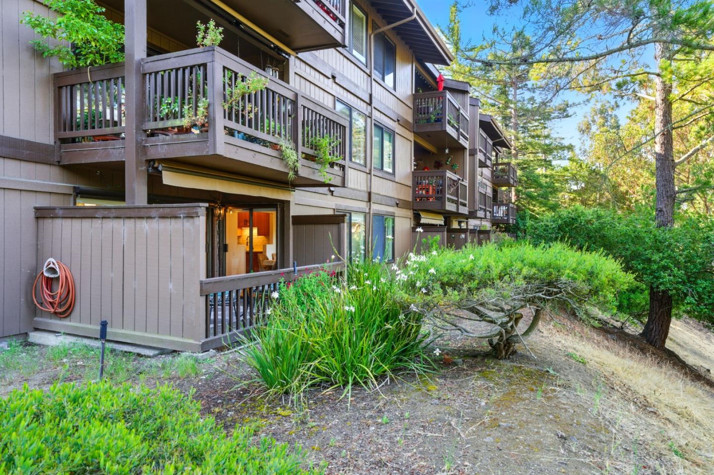 Detail Gallery Image 40 of 61 For 3329 Brittan Ave #1,  San Carlos,  CA 94070 - 3 Beds | 2 Baths