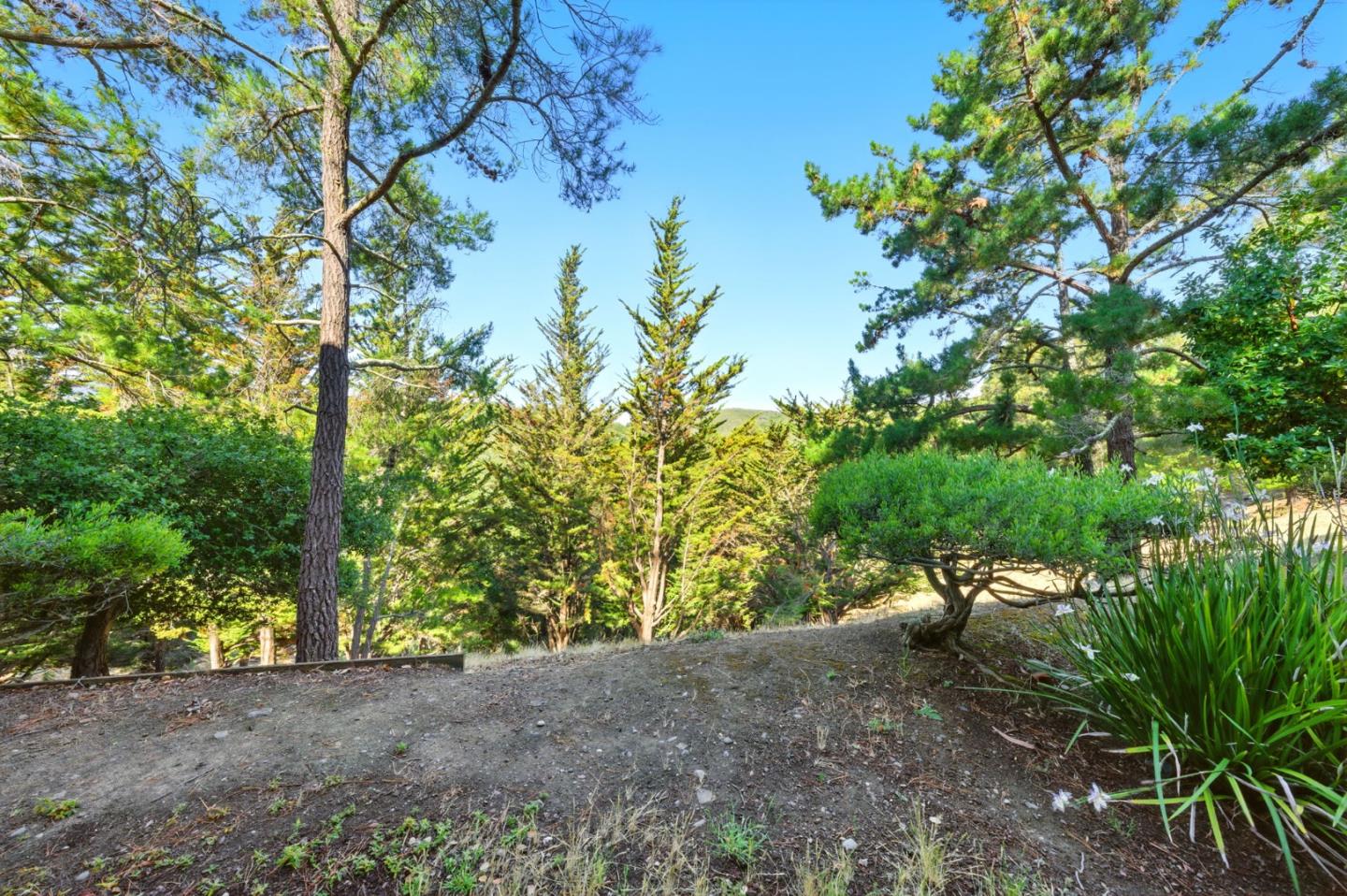 Detail Gallery Image 42 of 61 For 3329 Brittan Ave #1,  San Carlos,  CA 94070 - 3 Beds | 2 Baths