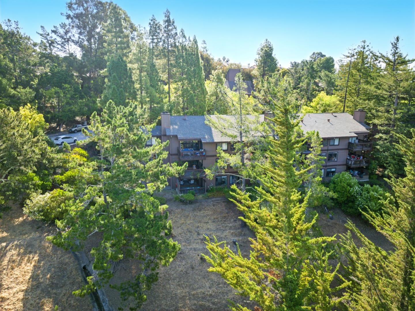 Detail Gallery Image 47 of 61 For 3329 Brittan Ave #1,  San Carlos,  CA 94070 - 3 Beds | 2 Baths