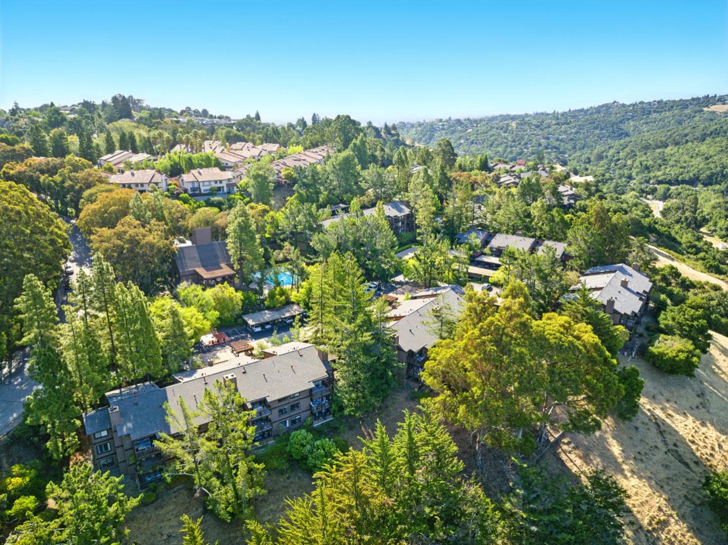 Detail Gallery Image 50 of 61 For 3329 Brittan Ave #1,  San Carlos,  CA 94070 - 3 Beds | 2 Baths