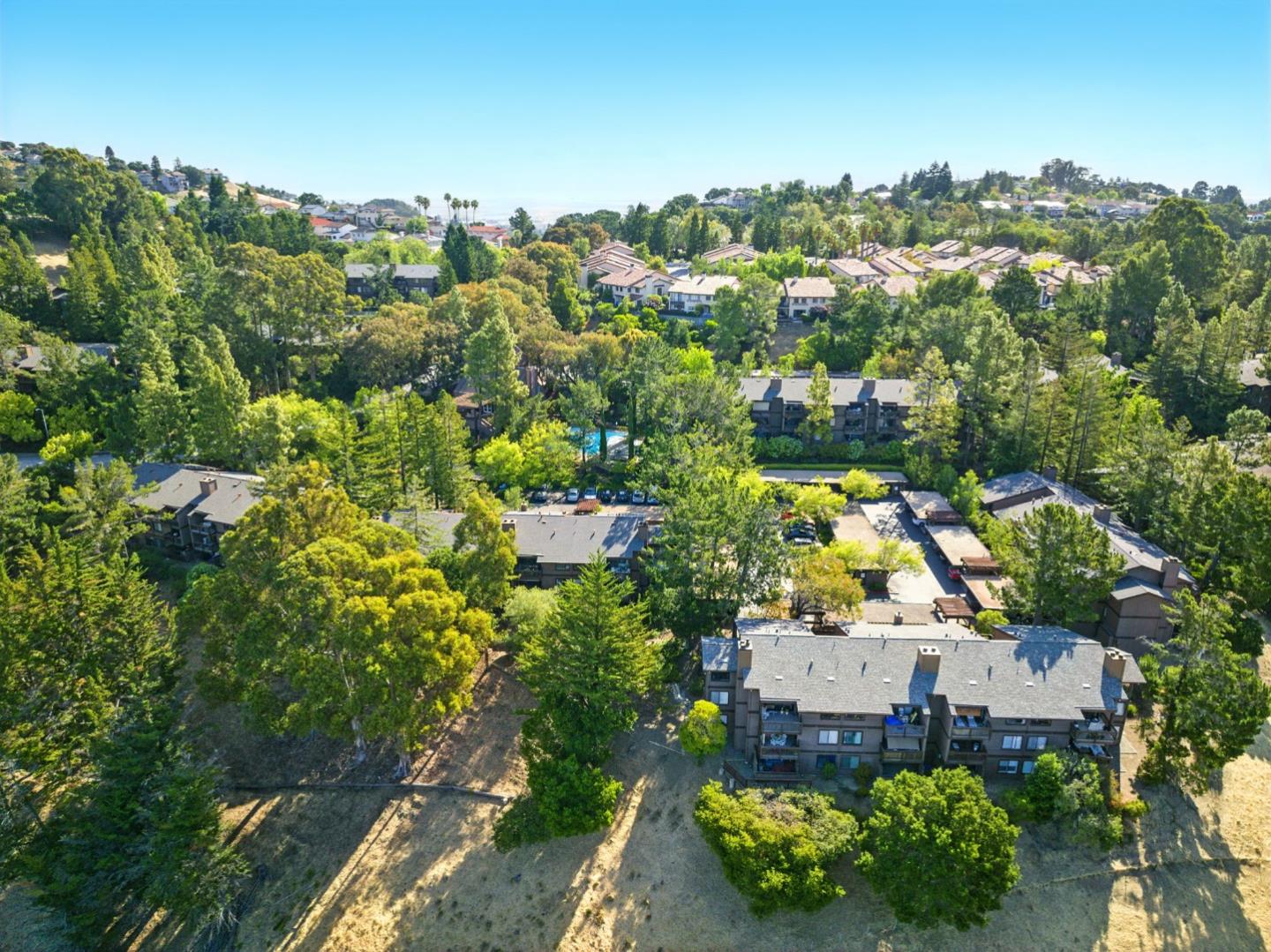 Detail Gallery Image 51 of 61 For 3329 Brittan Ave #1,  San Carlos,  CA 94070 - 3 Beds | 2 Baths