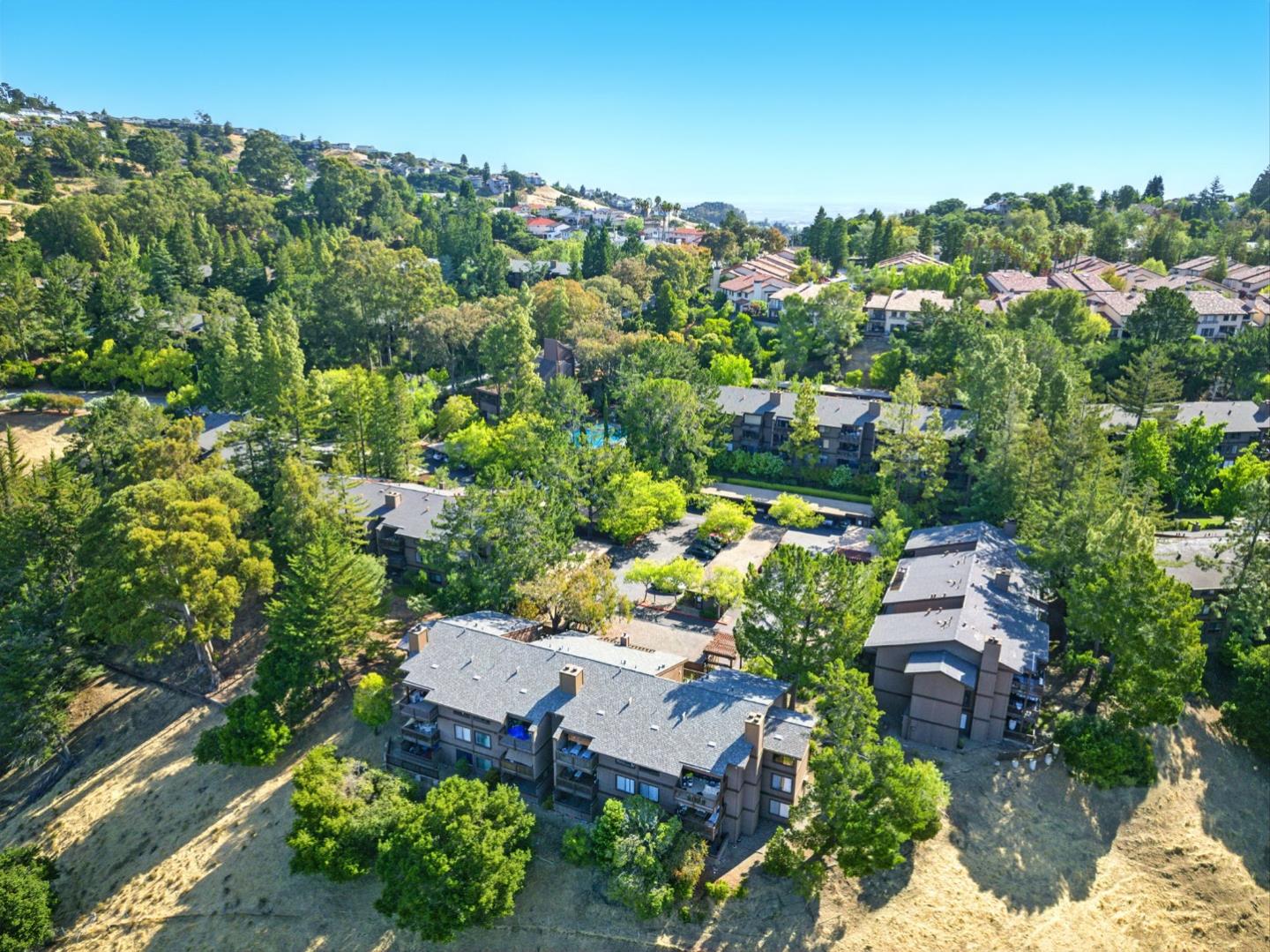 Detail Gallery Image 52 of 61 For 3329 Brittan Ave #1,  San Carlos,  CA 94070 - 3 Beds | 2 Baths